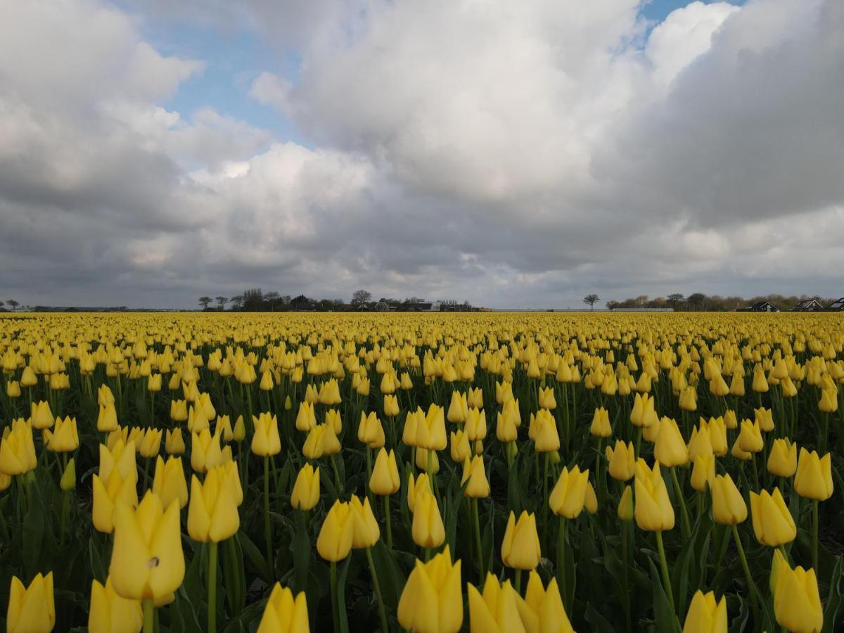 Camping De Tulpenweide Lege Kampeerplaats, Lege Plaats Op Het Gras Zonder Bed 브리잔드 외부 사진