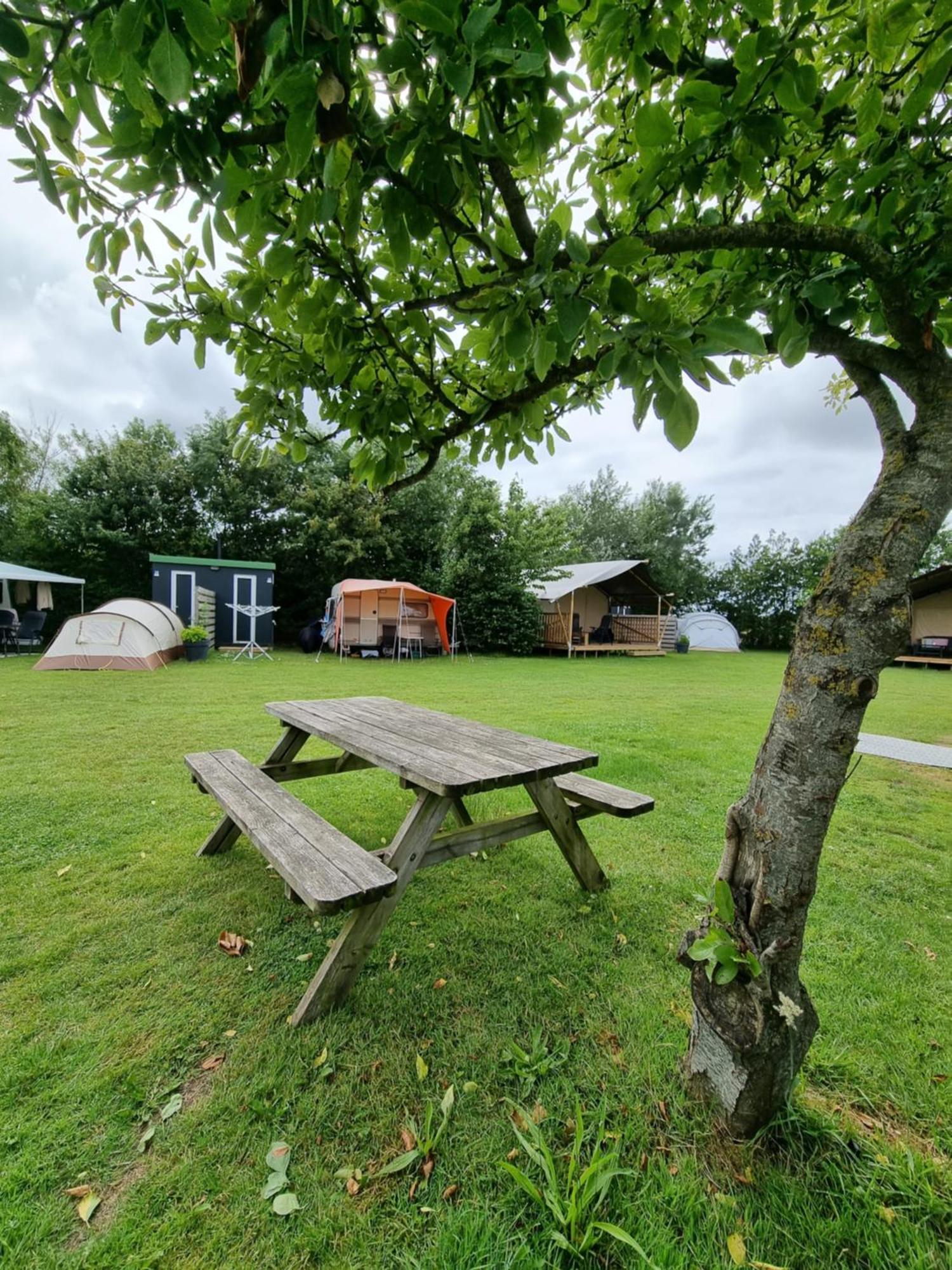Camping De Tulpenweide Lege Kampeerplaats, Lege Plaats Op Het Gras Zonder Bed 브리잔드 외부 사진
