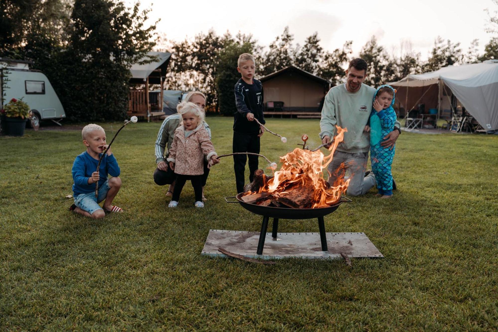 Camping De Tulpenweide Lege Kampeerplaats, Lege Plaats Op Het Gras Zonder Bed 브리잔드 외부 사진