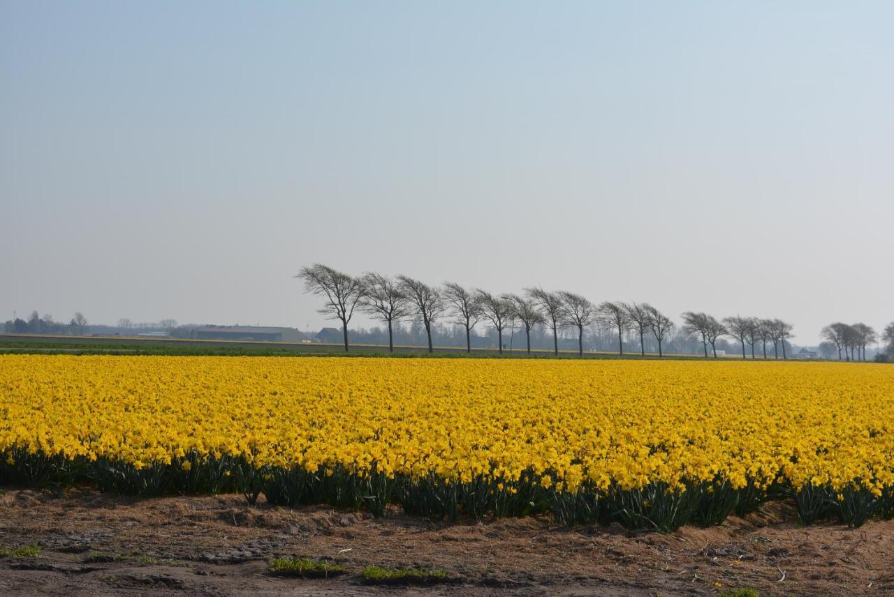 Camping De Tulpenweide Lege Kampeerplaats, Lege Plaats Op Het Gras Zonder Bed 브리잔드 외부 사진