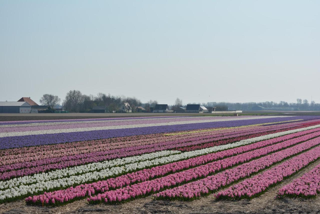Camping De Tulpenweide Lege Kampeerplaats, Lege Plaats Op Het Gras Zonder Bed 브리잔드 외부 사진