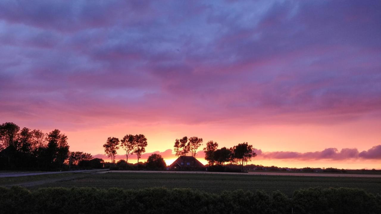 Camping De Tulpenweide Lege Kampeerplaats, Lege Plaats Op Het Gras Zonder Bed 브리잔드 외부 사진